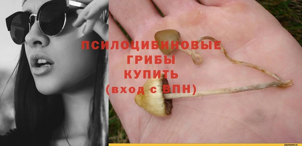 apvp Аркадак