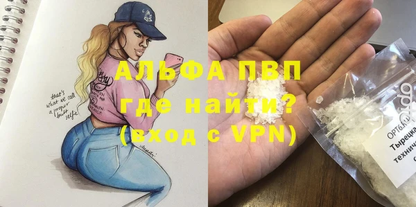 сатива Арсеньев