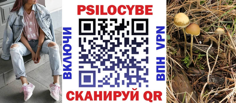 Псилоцибиновые грибы мицелий Первомайск